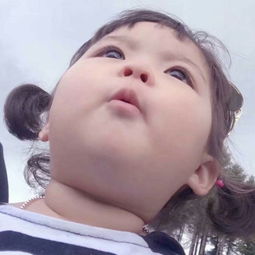 慧寶一歲半 快手直播