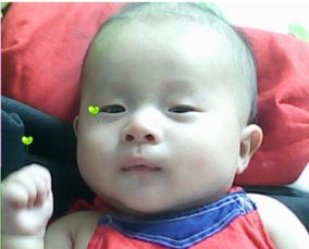 可愛寶貝最帥就是我