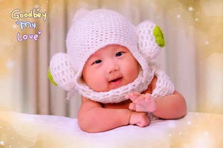 前6名有大獎 參與獎也不小