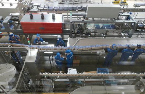 君樂寶奶粉工廠開放啦 體驗夢想之旅 君樂寶優致牧場 酸奶工廠 奶粉工廠親子游學