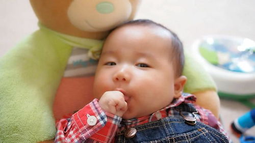 吃手吃的超投入的可愛(ài)小寶寶,親愛(ài)的你是吃出了雞腿的味道嗎