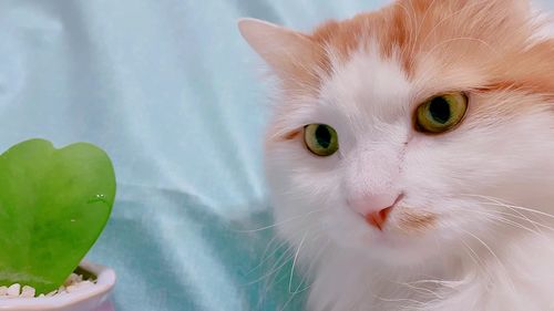 在麻麻心里,你是最可愛(ài)的寶