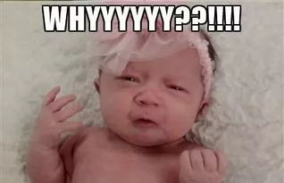 軟萌可愛的小寶寶,也可以是爆笑的實(shí)力表情帝啊哈哈哈