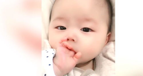 麗 生了一個小萌寶可愛極了,網(wǎng)友 吮吸自己小手指的模樣太可了